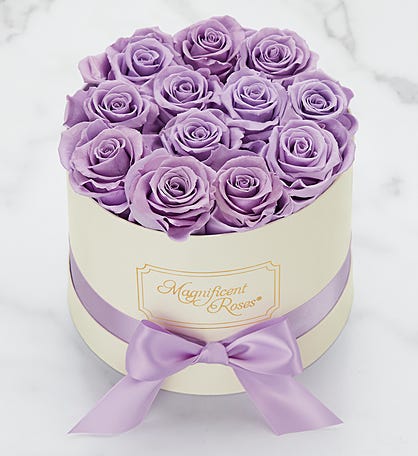 Magnificent Roses® Preserved Lavender Dream